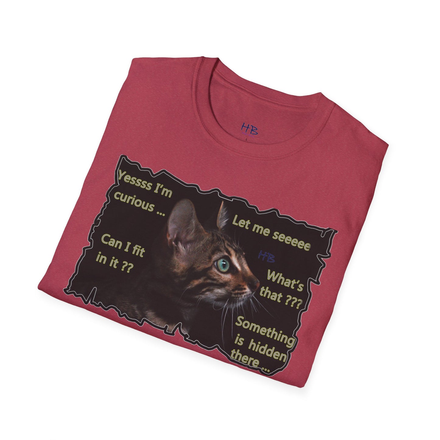 Kitten curiosity and care free