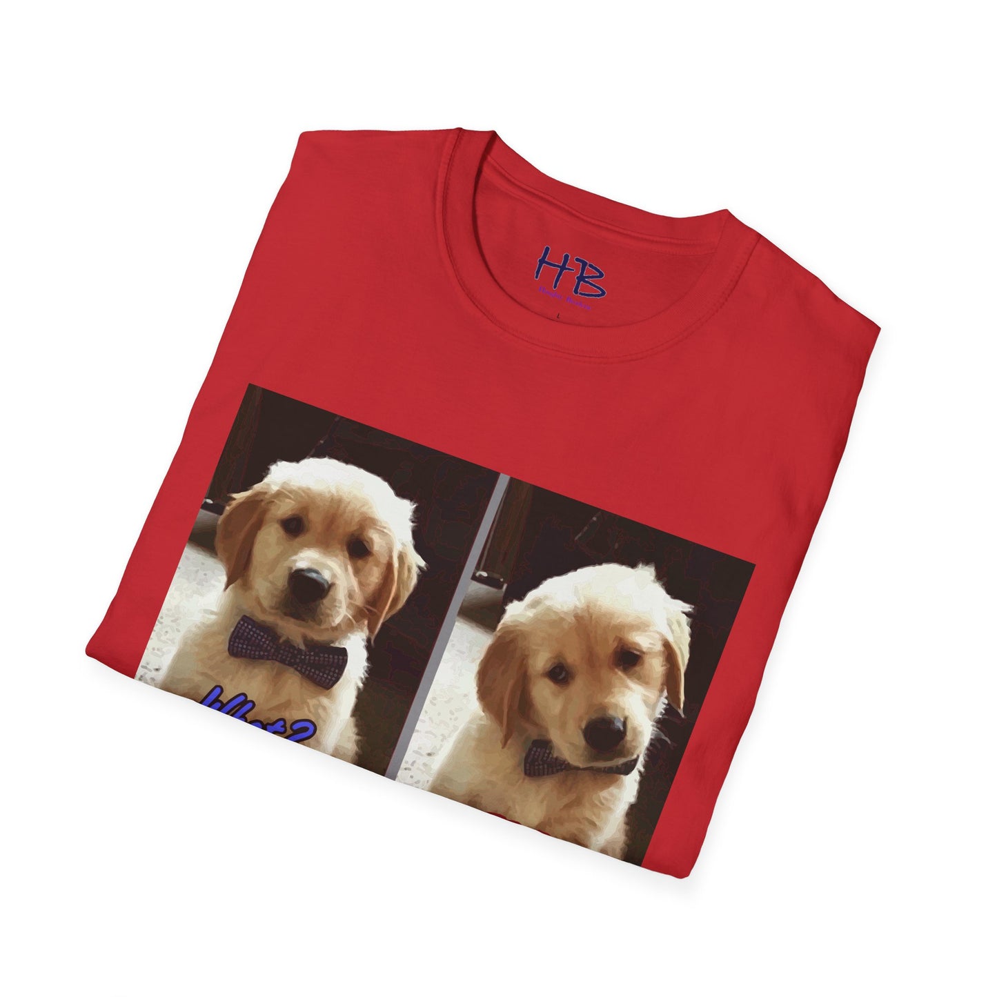 Labbie puppy asking "FOR REAL??????"