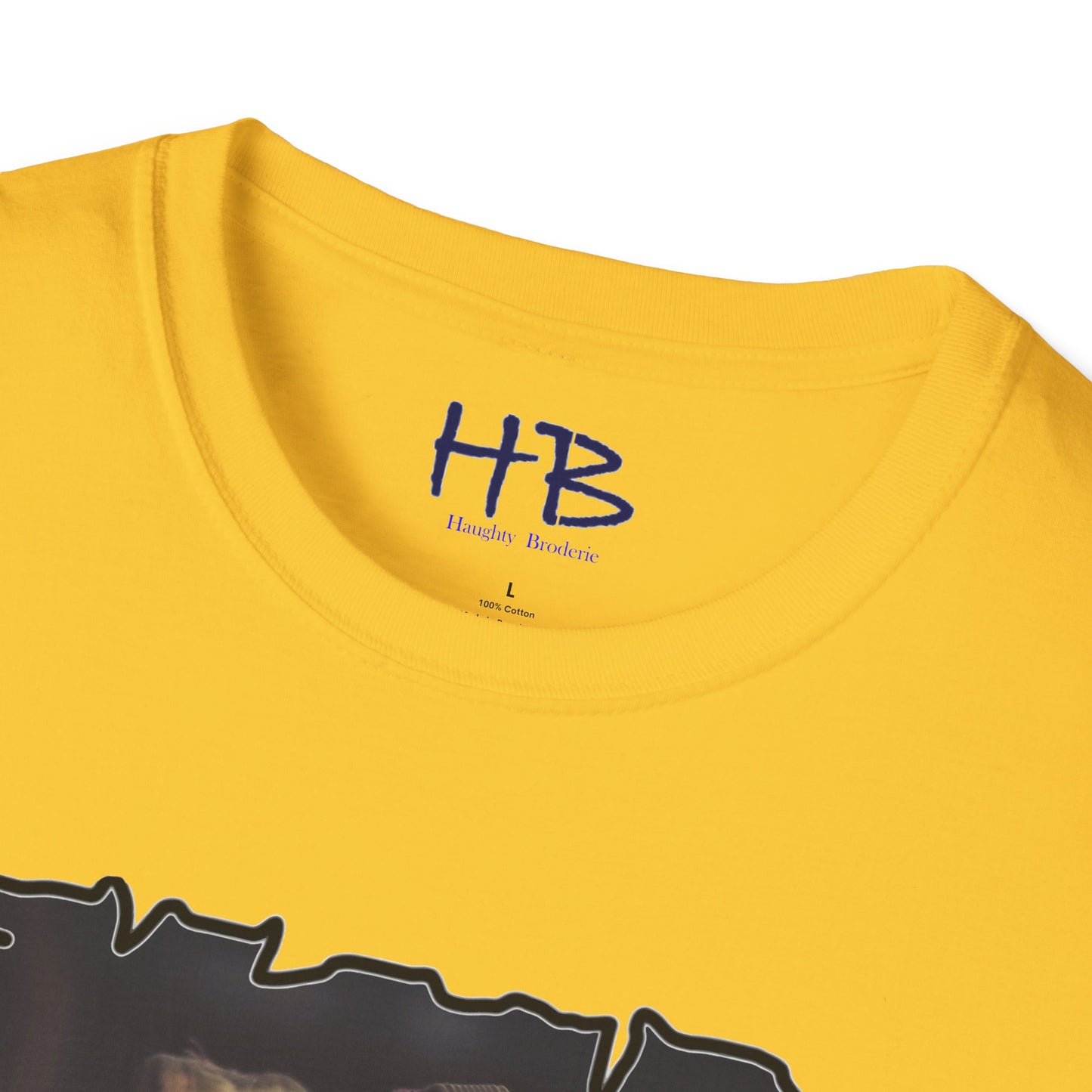 The Essence of Ballet Embodied: Wear the Fouetté Graceful Shoe Design Legacy