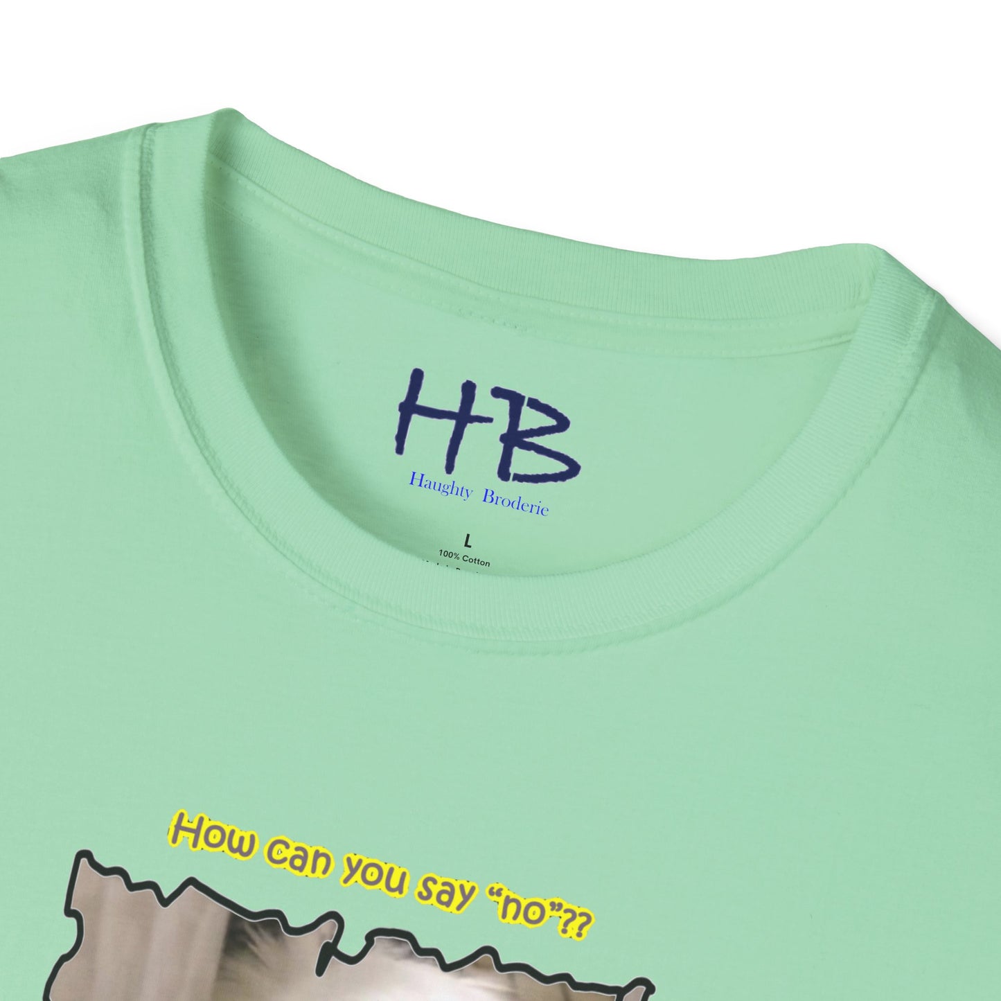 Cutest white Bichon Maltese wanting to play