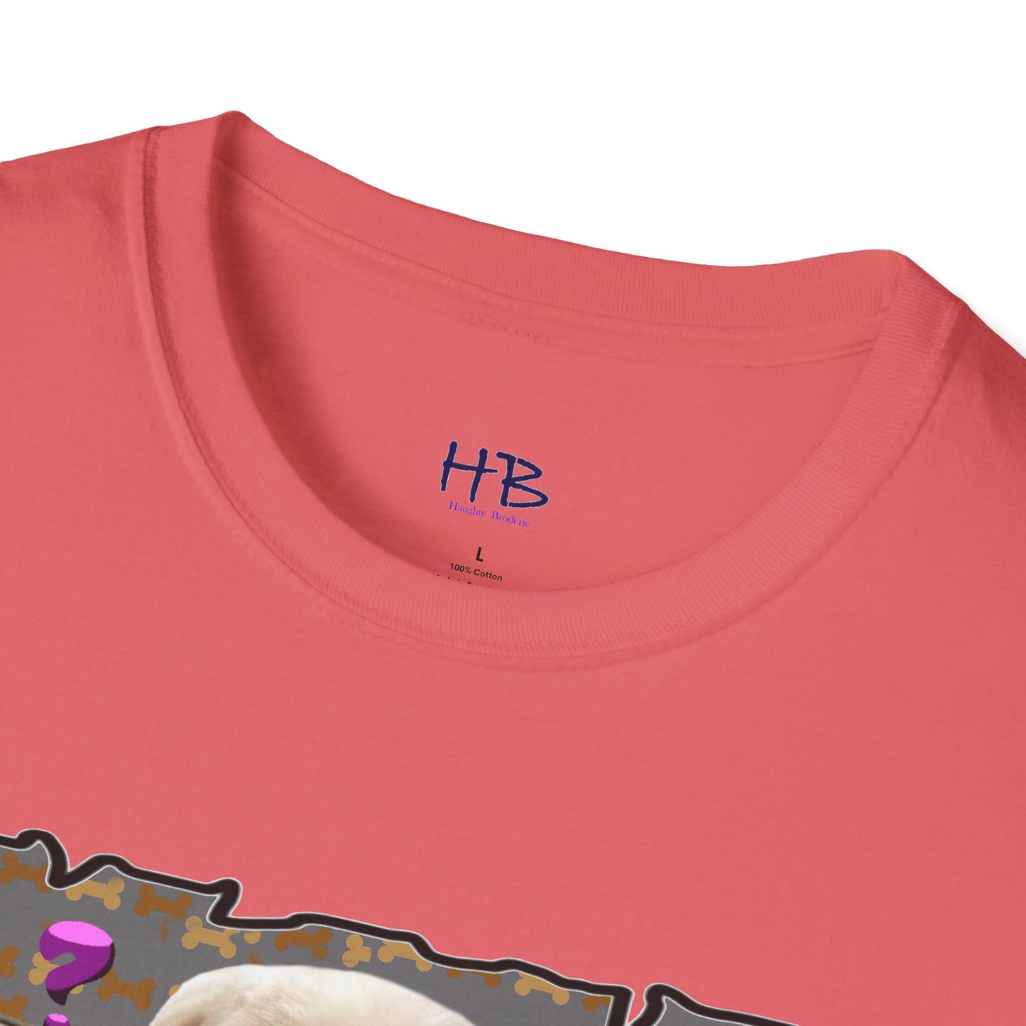 Baby Bichon Maltese with cluelessness innocent look "I don't undoustaaaand"