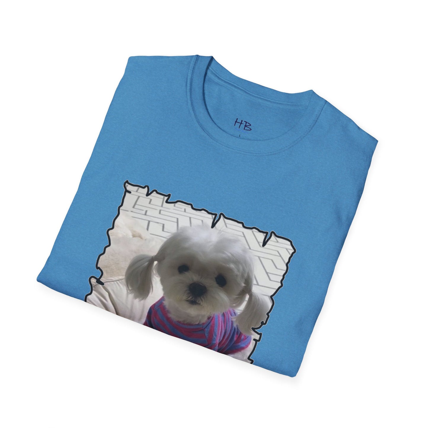 Bichon Maltese extra cute ponytails