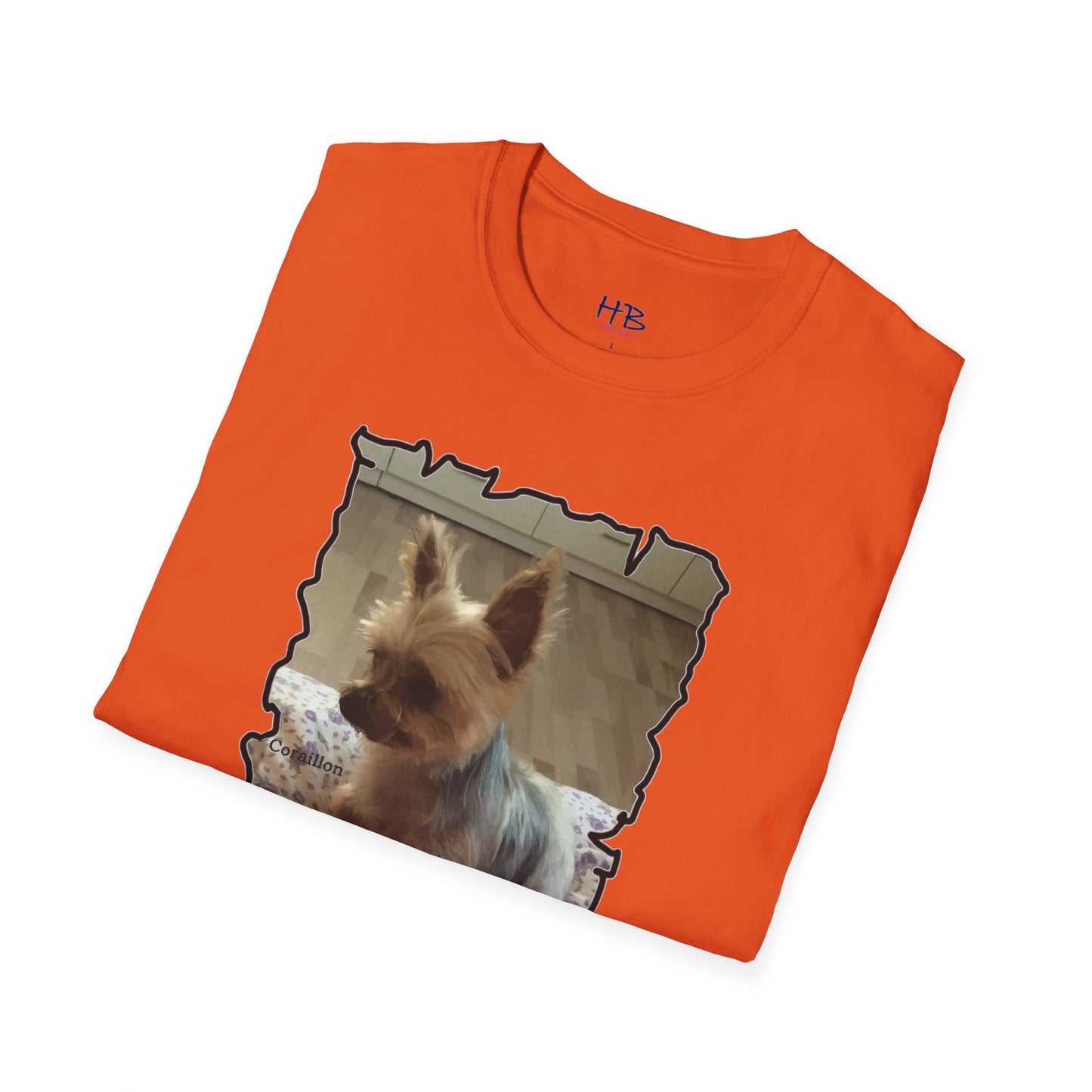 Corail the Yorkshire Toy little baby