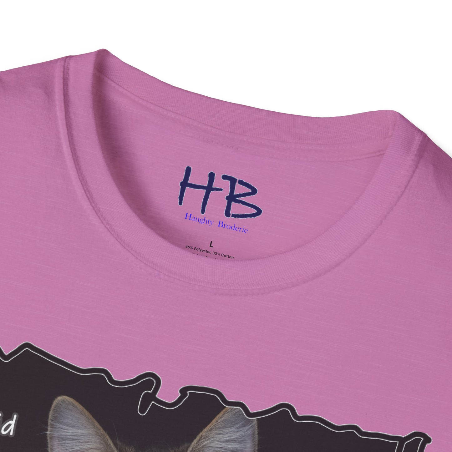 Cat shocked by what you did ""You've got to be kidding me. You did what?!""