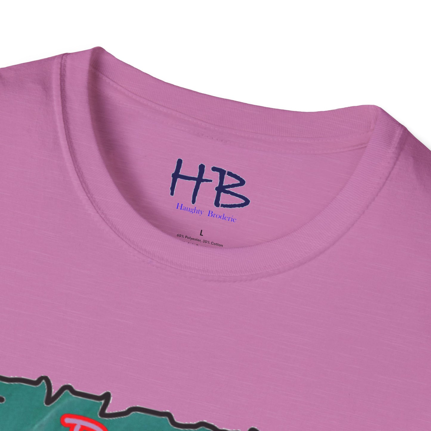 Conquering Doubt: Fueling Dreams with Inspiring Words - Apprehension versus Fiasco