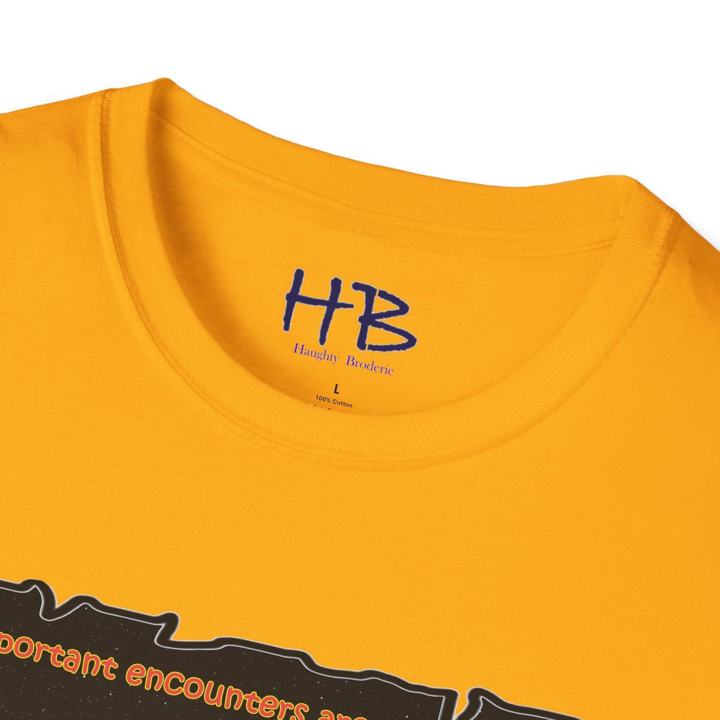 Embrace the Cosmos' Starlit Destiny: A Paulo Coelho Inspired Encounter Beyond Physical with Destiny's Weave for The Soul's Blueprint