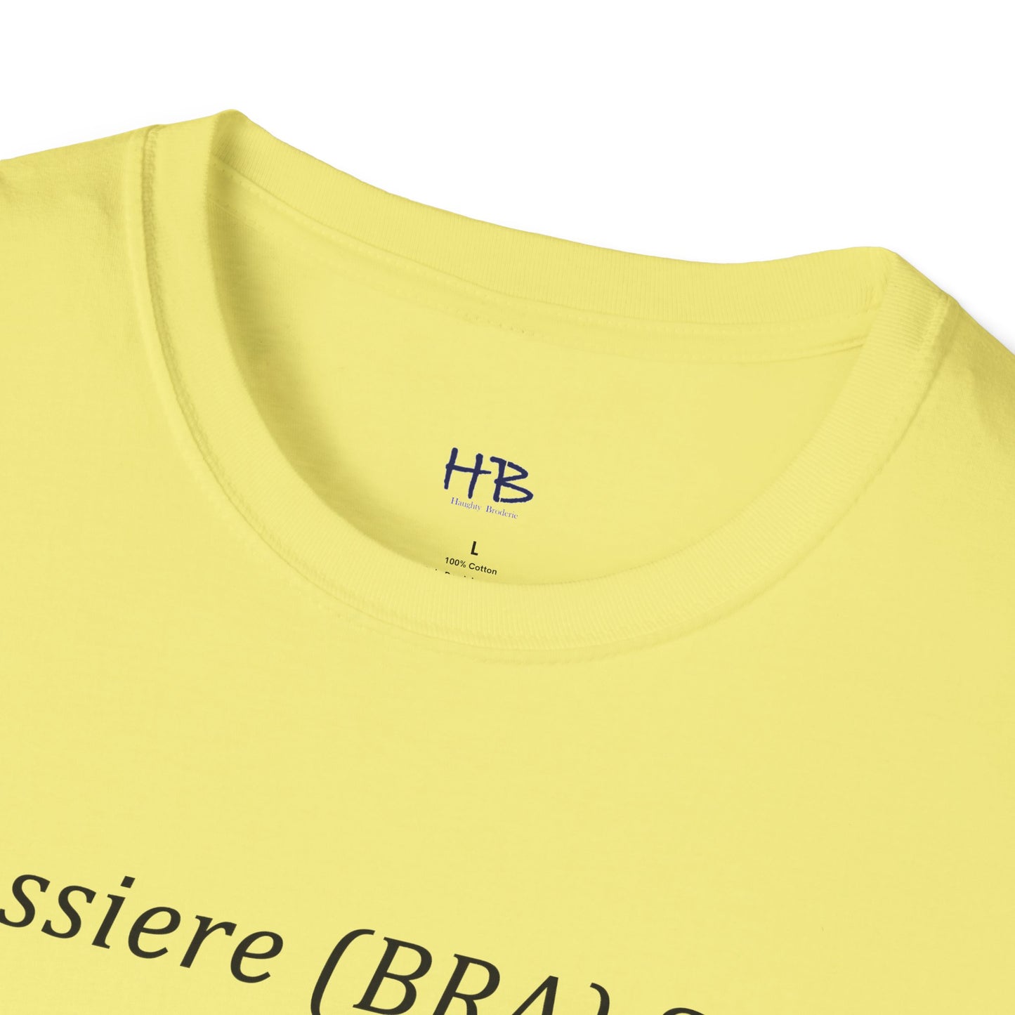 Humorous Bra Sizing Chart