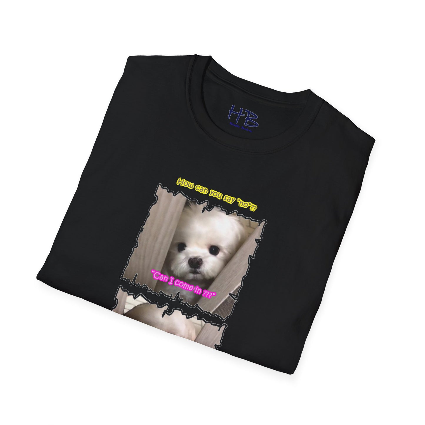 Cutest white Bichon Maltese wanting to play