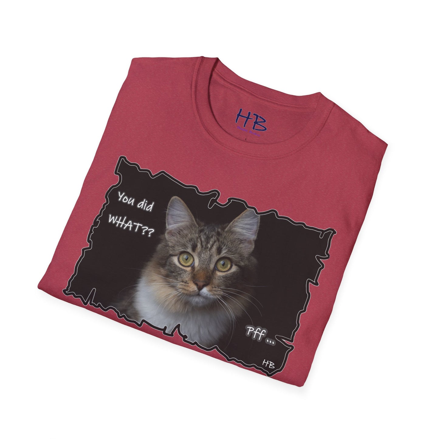 Cat shocked by what you did ""You've got to be kidding me. You did what?!""