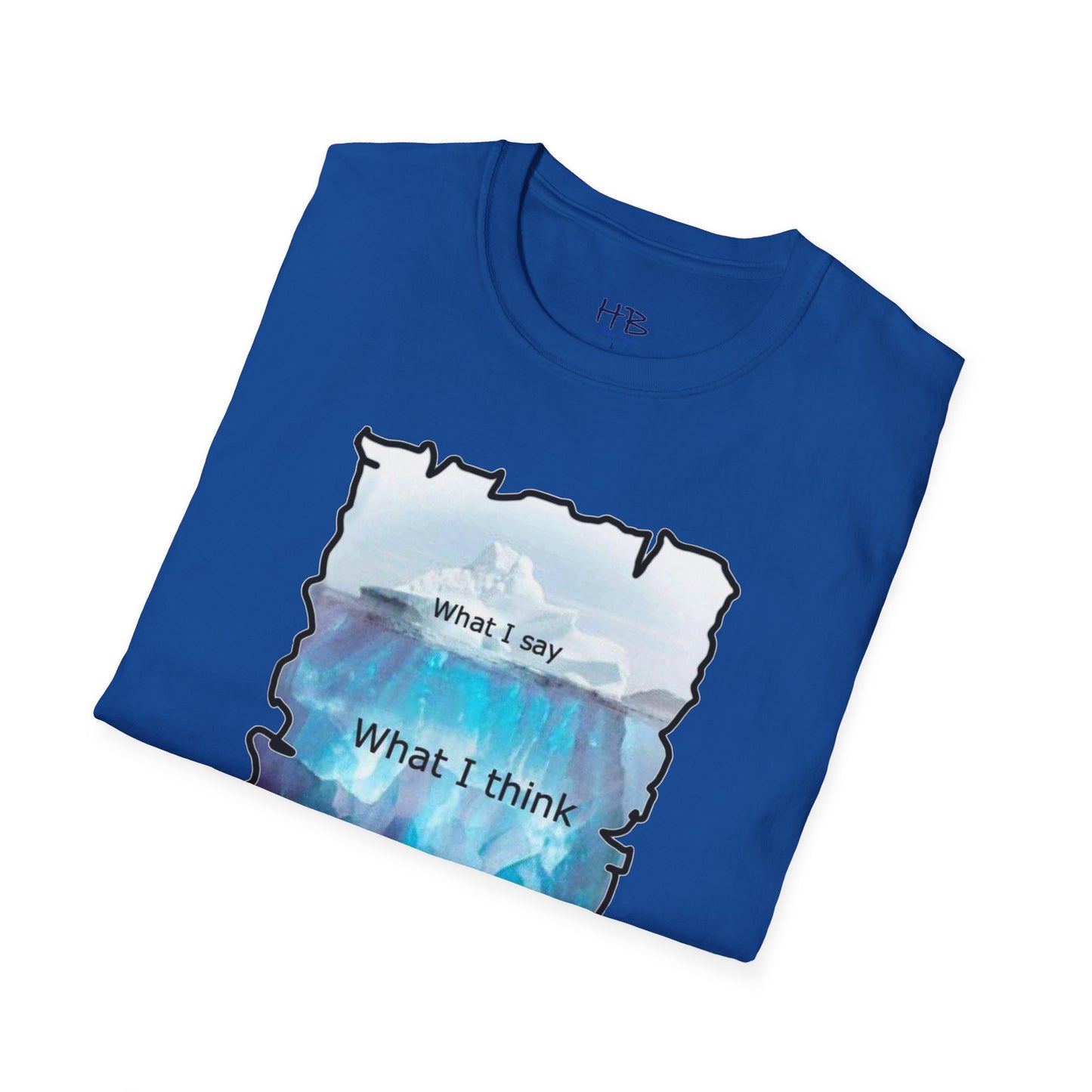 Below the Surface Veiled Verbalization