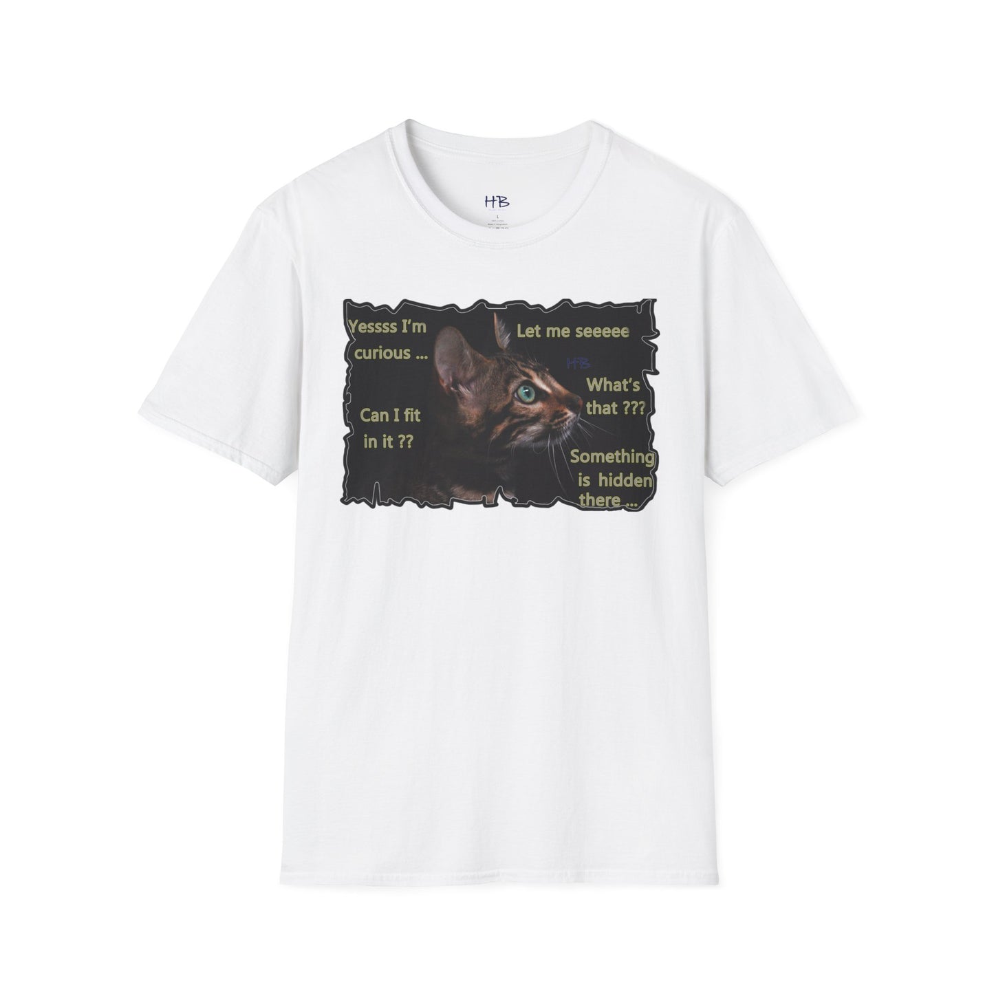 Kitten curiosity and care free