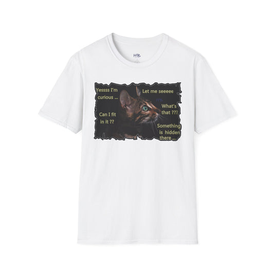 Kitten curiosity and care free