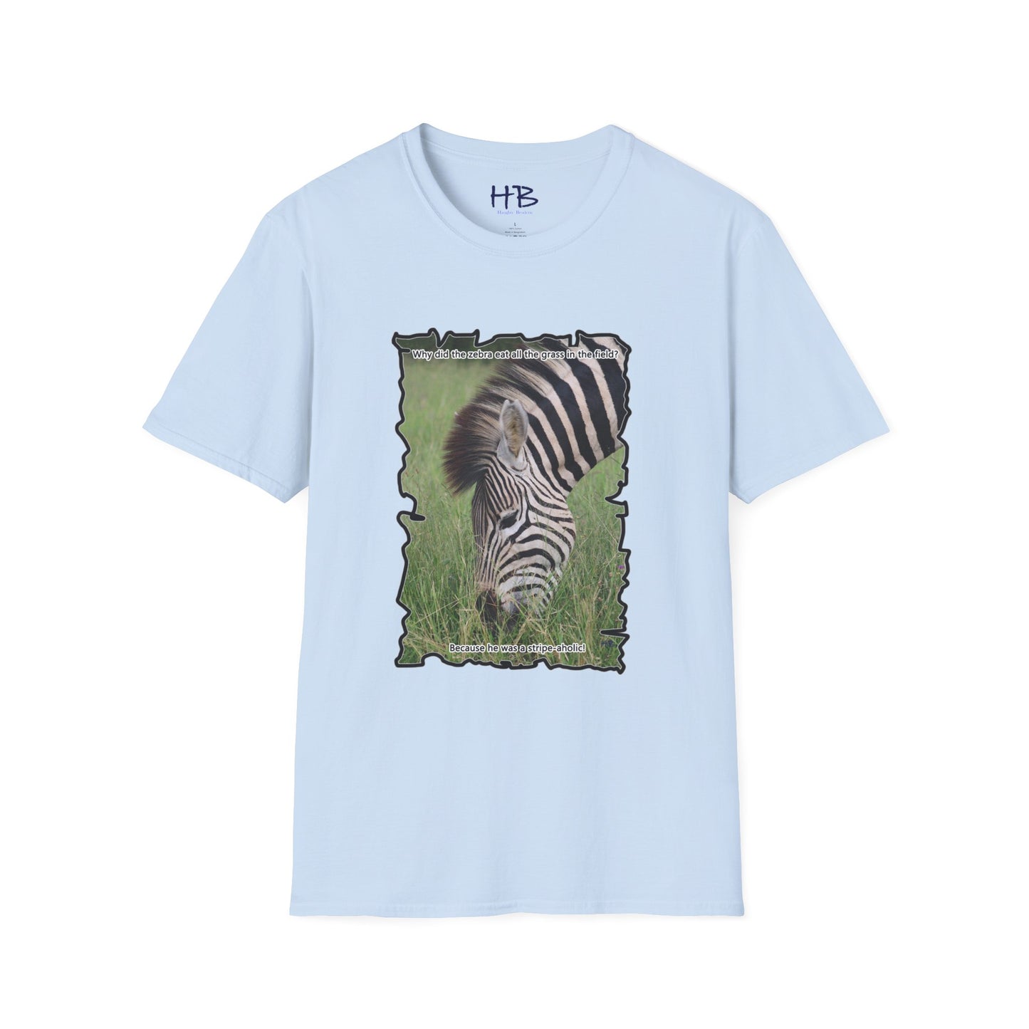 Zebra magnificently eating grass with funny joke