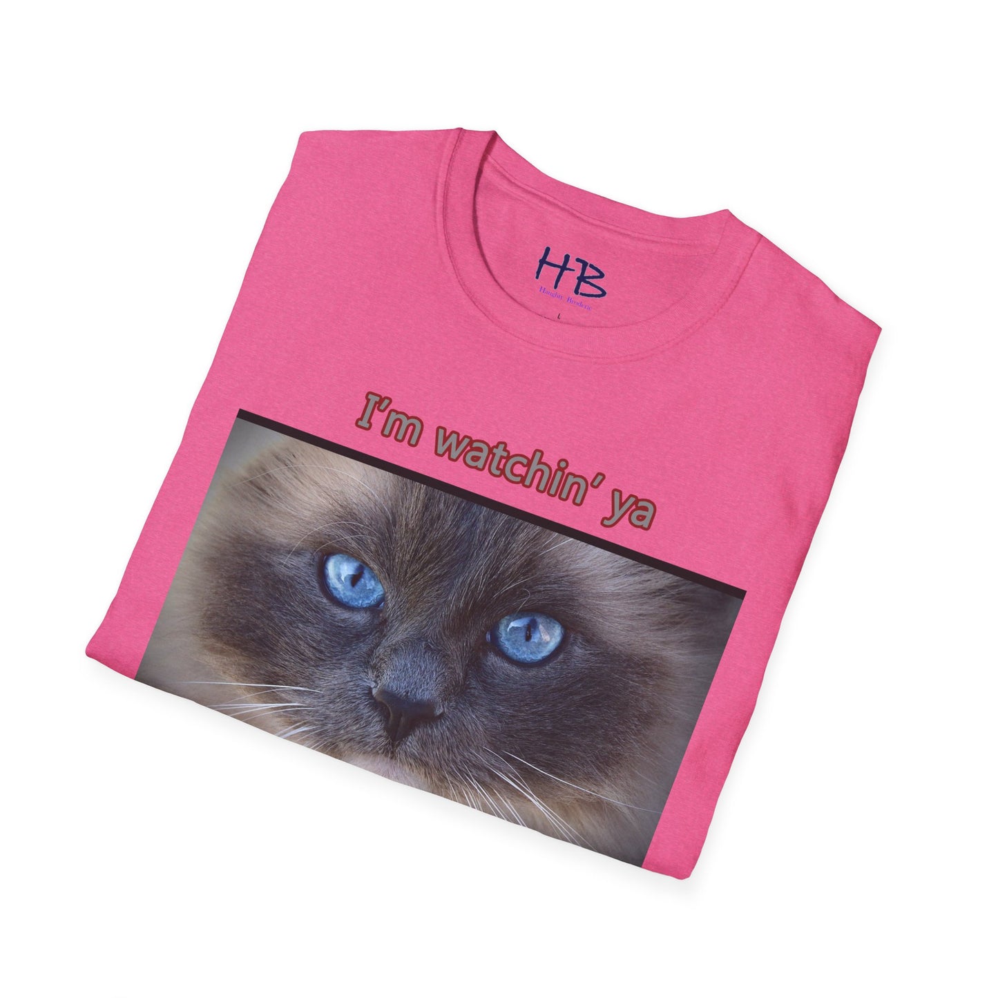 Cat with mesmerizing blue eyes "I'm watchin' ya"