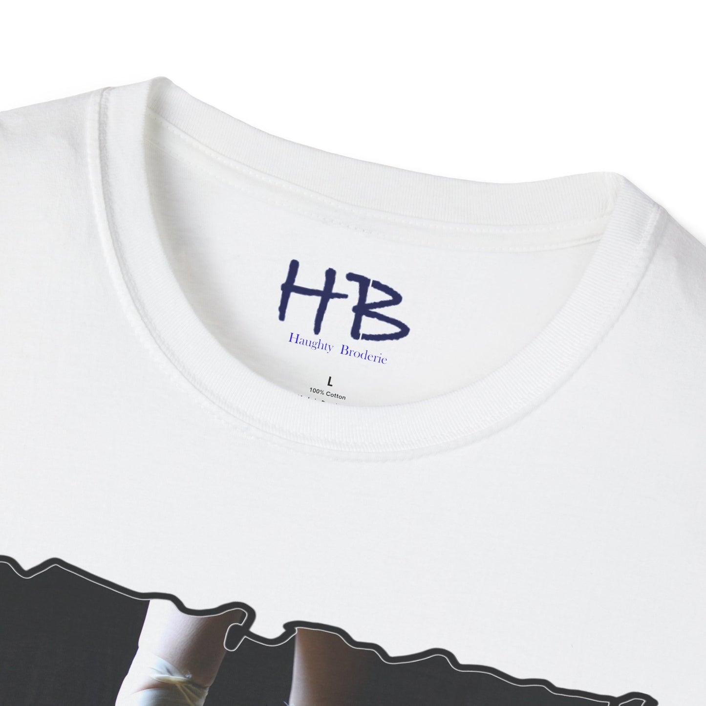 Embracing the Symphony Splendor in Style:  Unleashing Ballet's Charisma