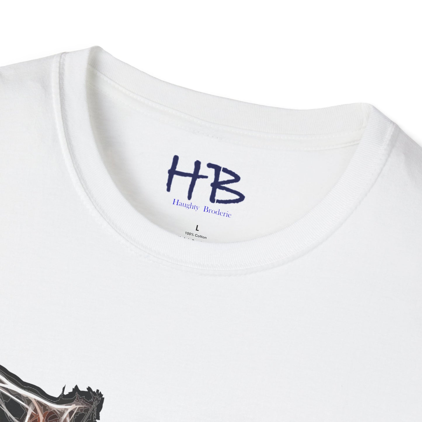 Grace in Motion: Showcasing the Ballet Brisé