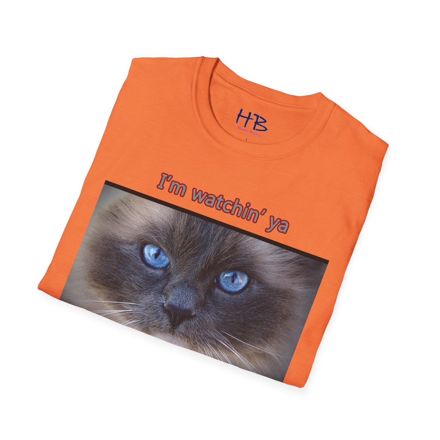 Cat with mesmerizing blue eyes "I'm watchin' ya"