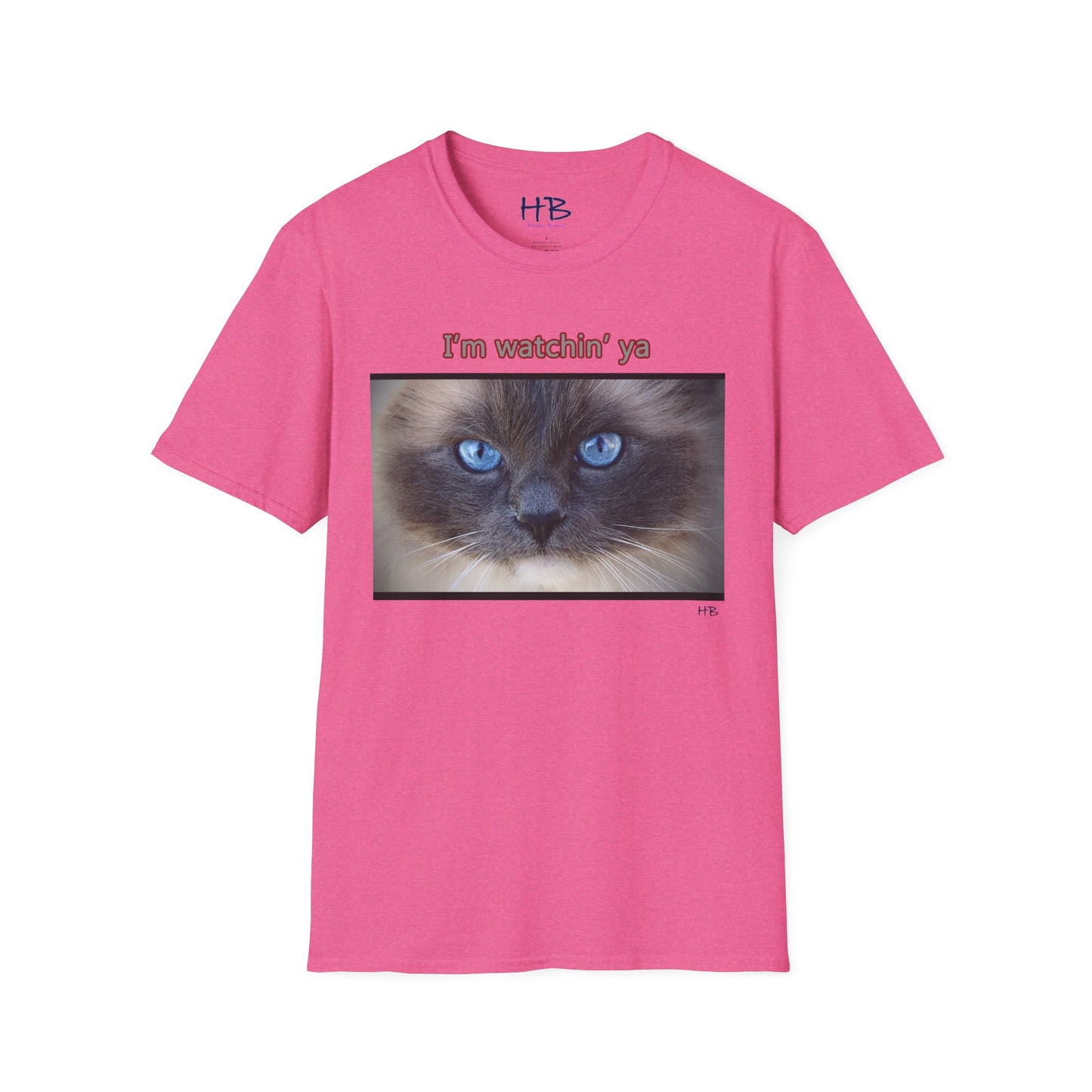 Cat with mesmerizing blue eyes "I'm watchin' ya"