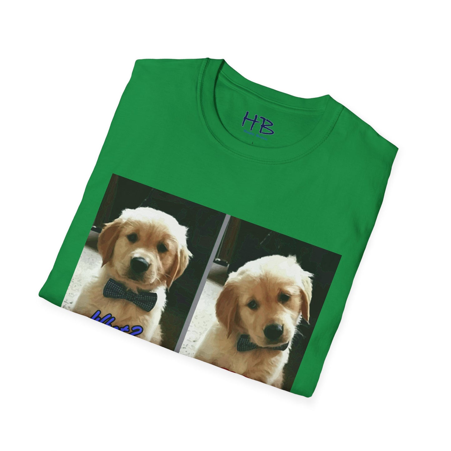 Labbie puppy asking "FOR REAL??????"