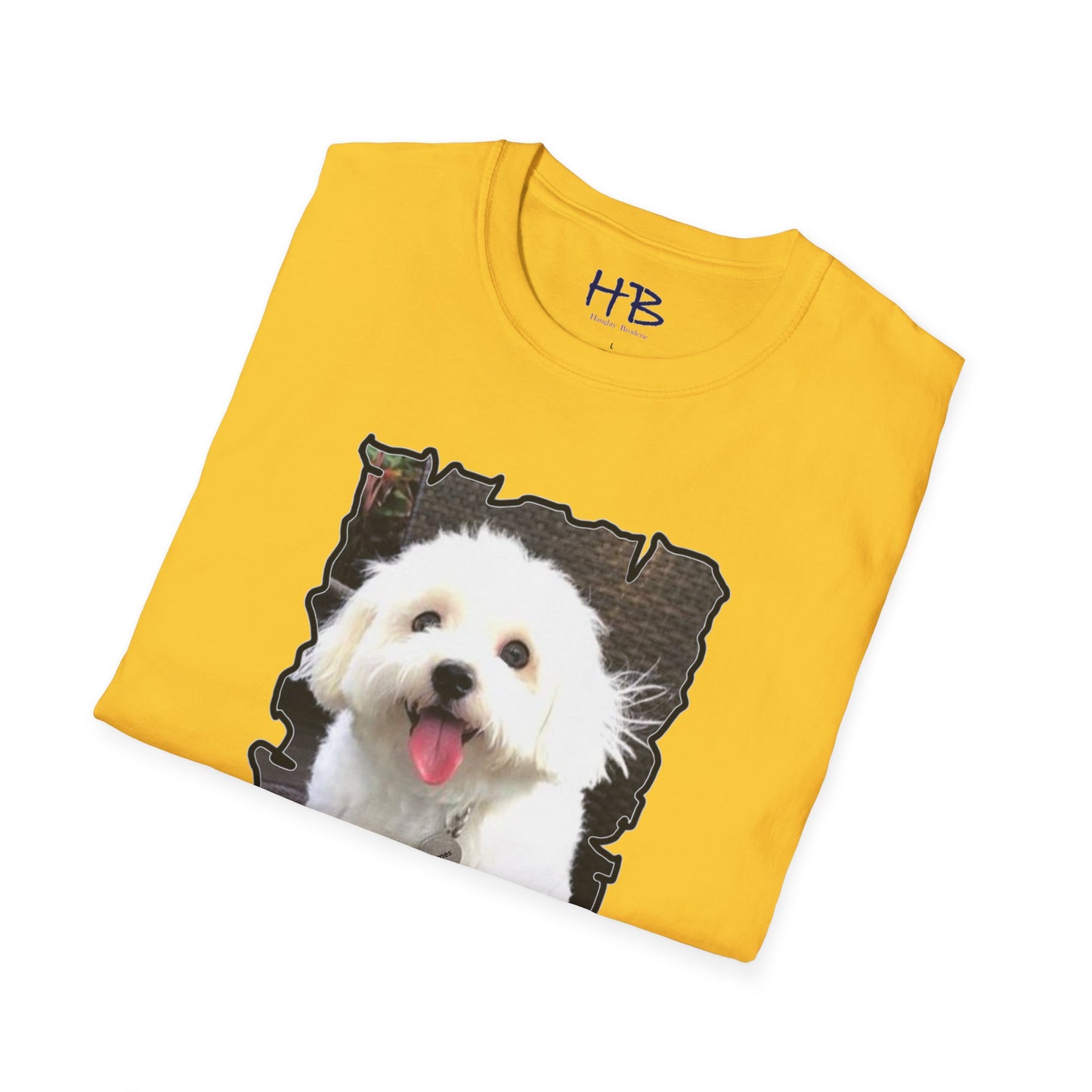 Bichon Malthese - Hermes with big smile and pink tongue