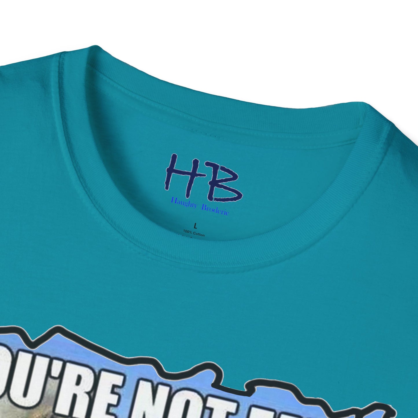 Two chubby husky dogs comforting each other about being husky