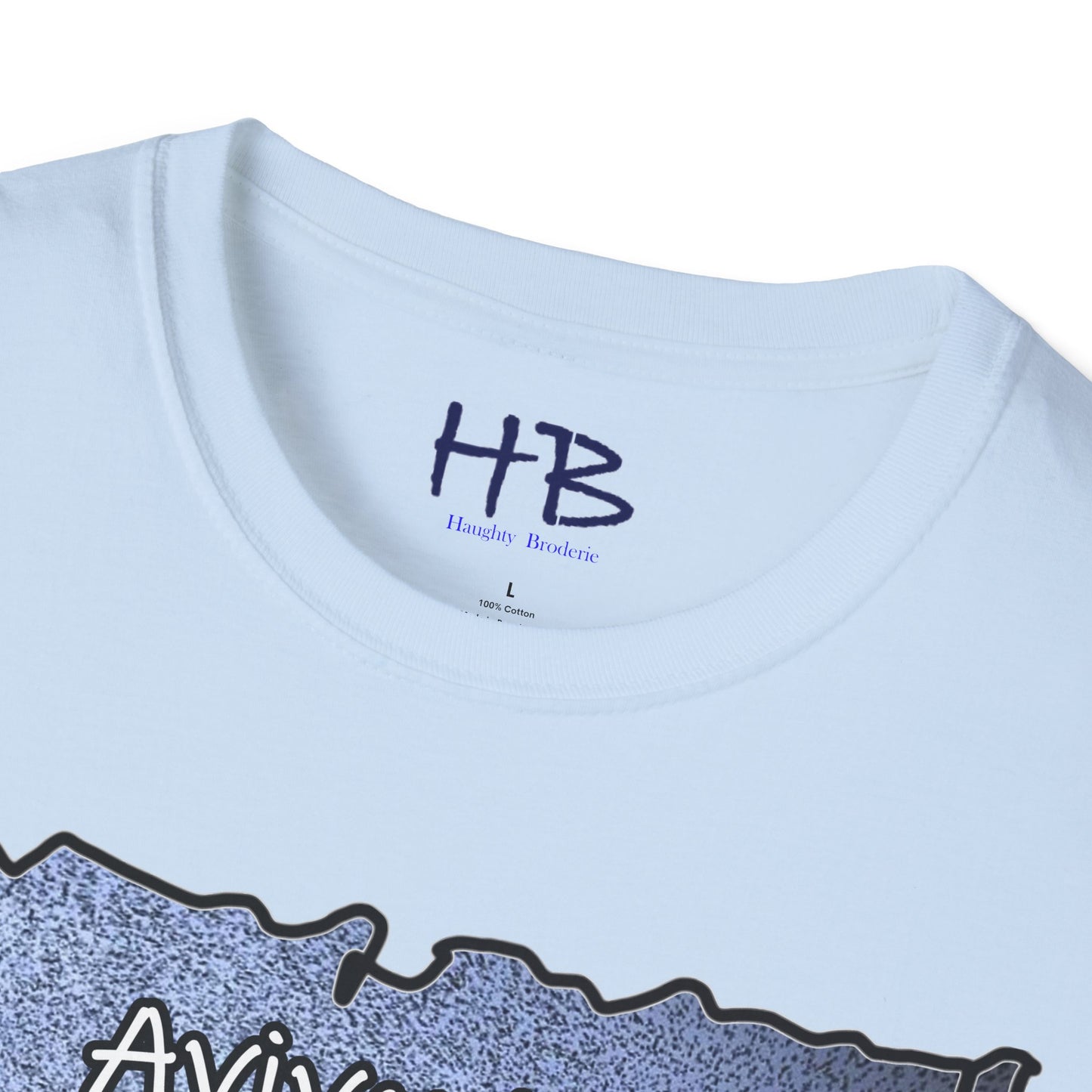 Feathered Aerial Aviary Cyclone; Plumage Tornado of Flight Aerial Ballet