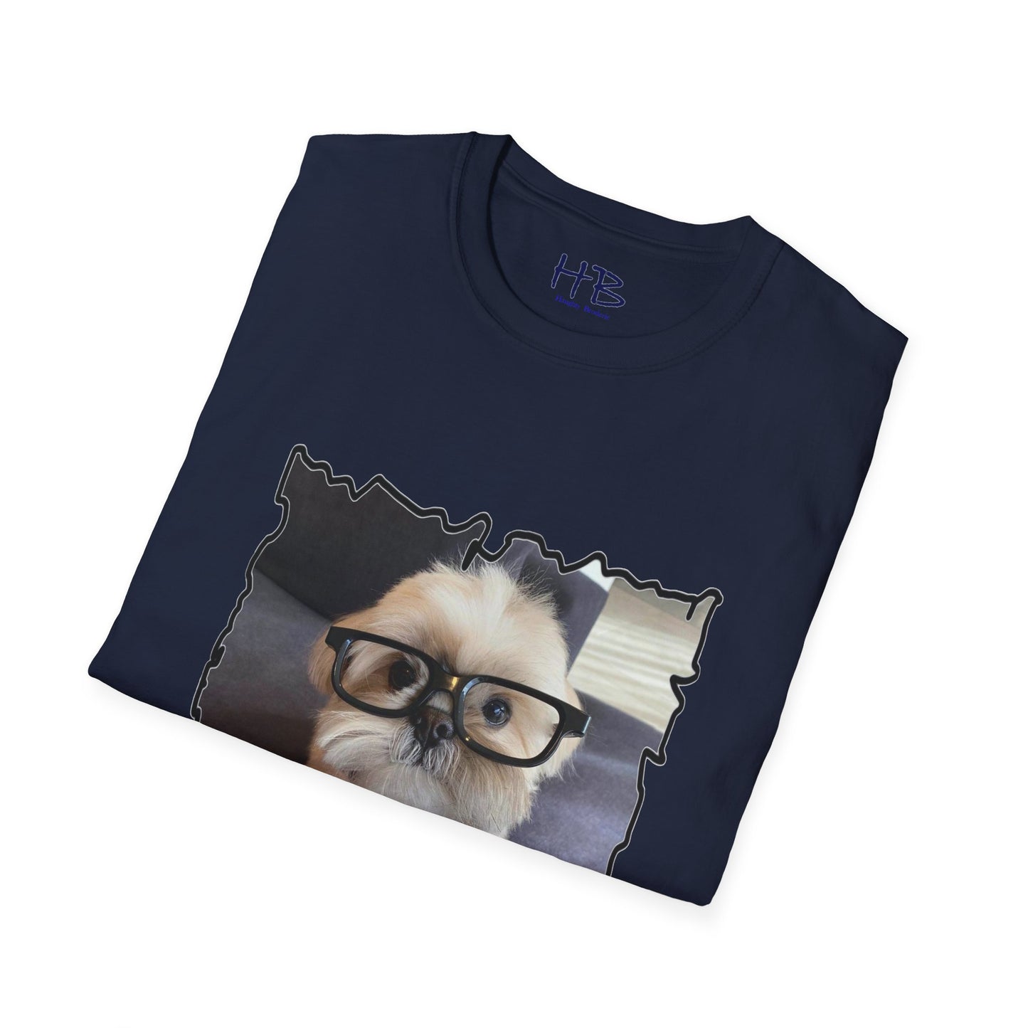 Bichon Maltese glasses according to his scrutiny