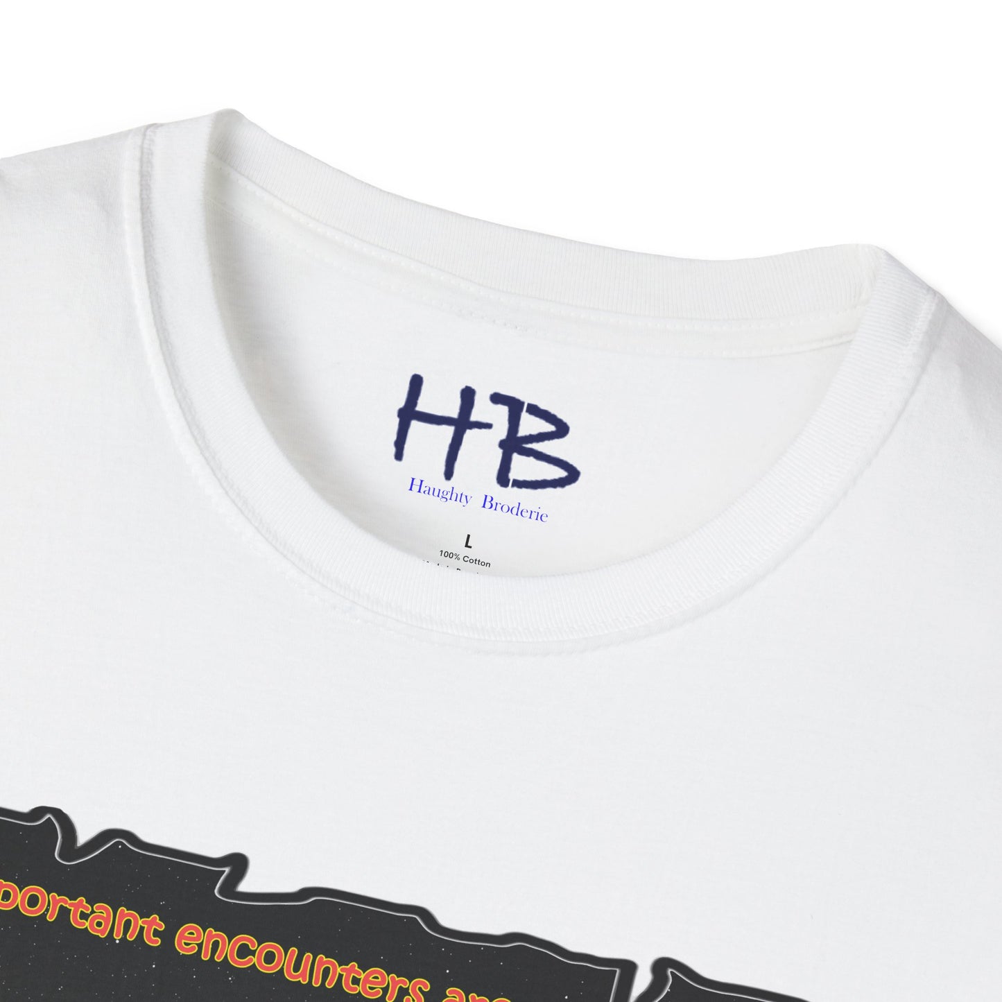 Embrace the Cosmos' Starlit Destiny: A Paulo Coelho Inspired Encounter Beyond Physical with Destiny's Weave for The Soul's Blueprint