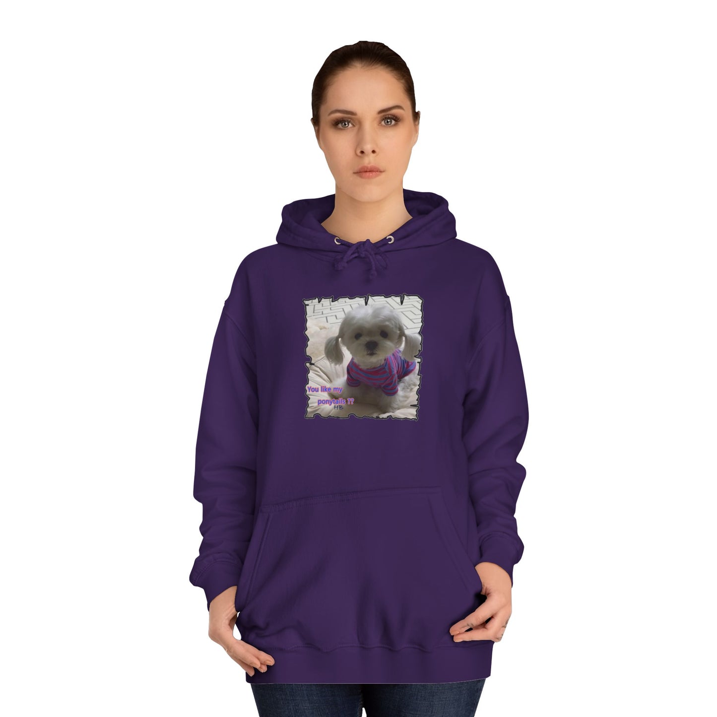 Bichon Maltese extra cute ponytails (Hoodie - Cozy and Durable)