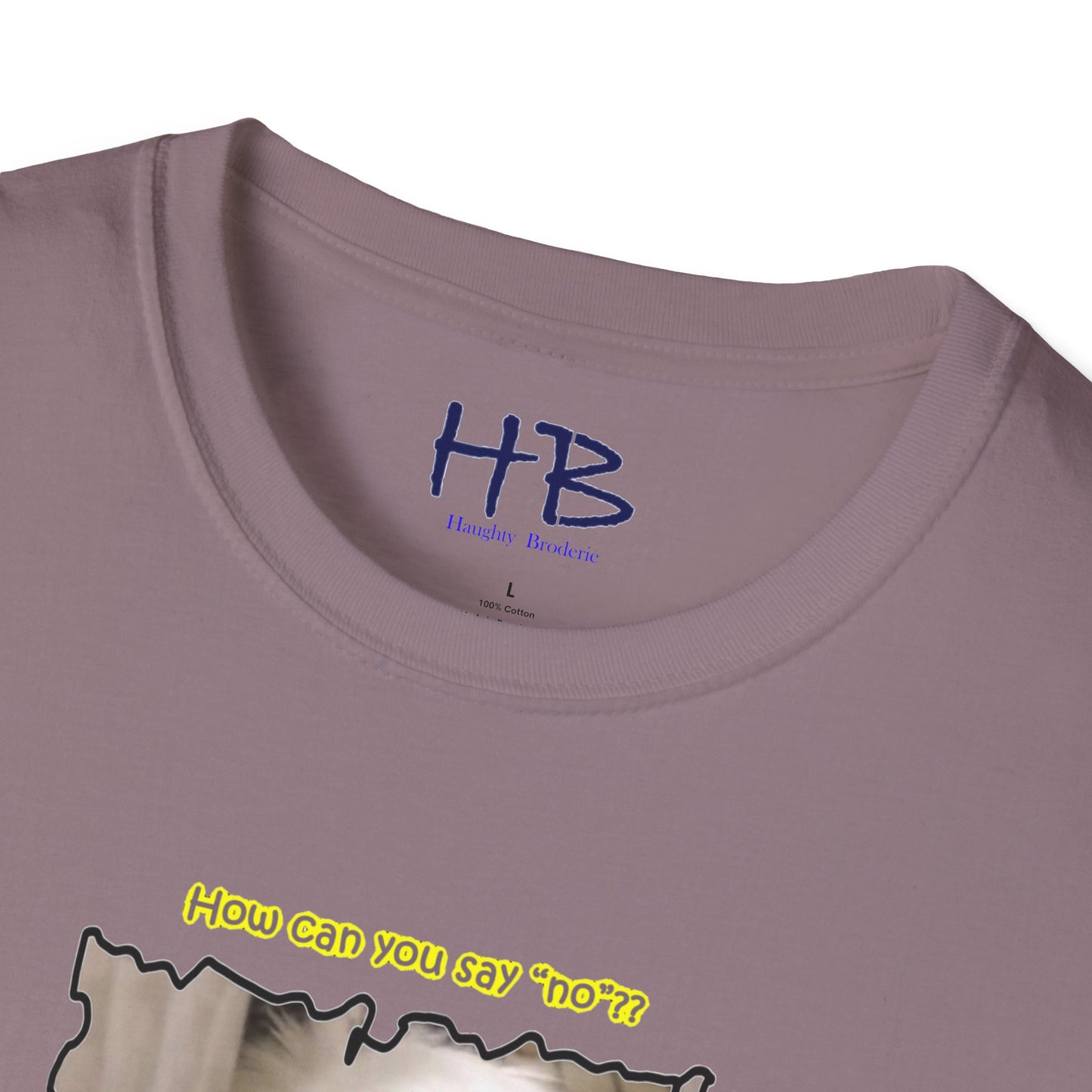 Cutest white Bichon Maltese wanting to play