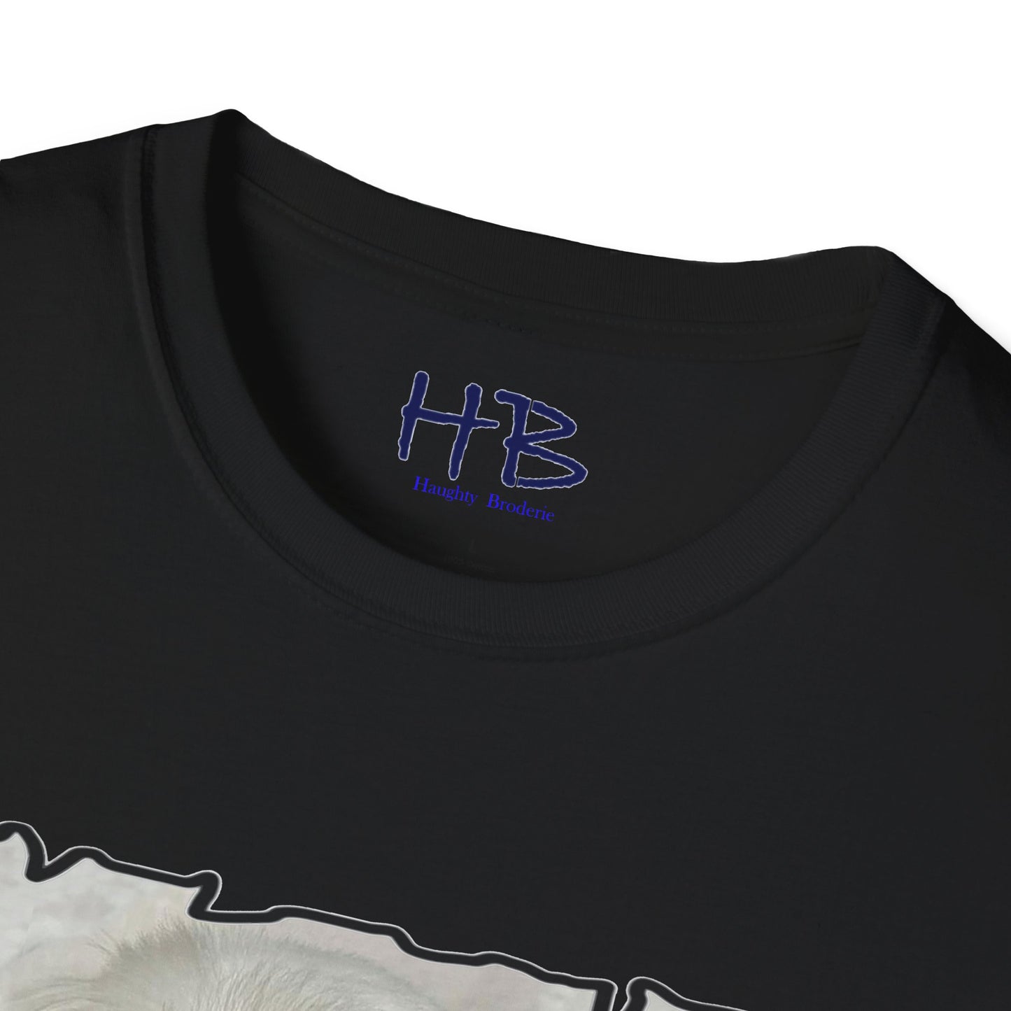 Cutest Bichon Maltese screaming out that it is the "Cutest and it knows it!!!"