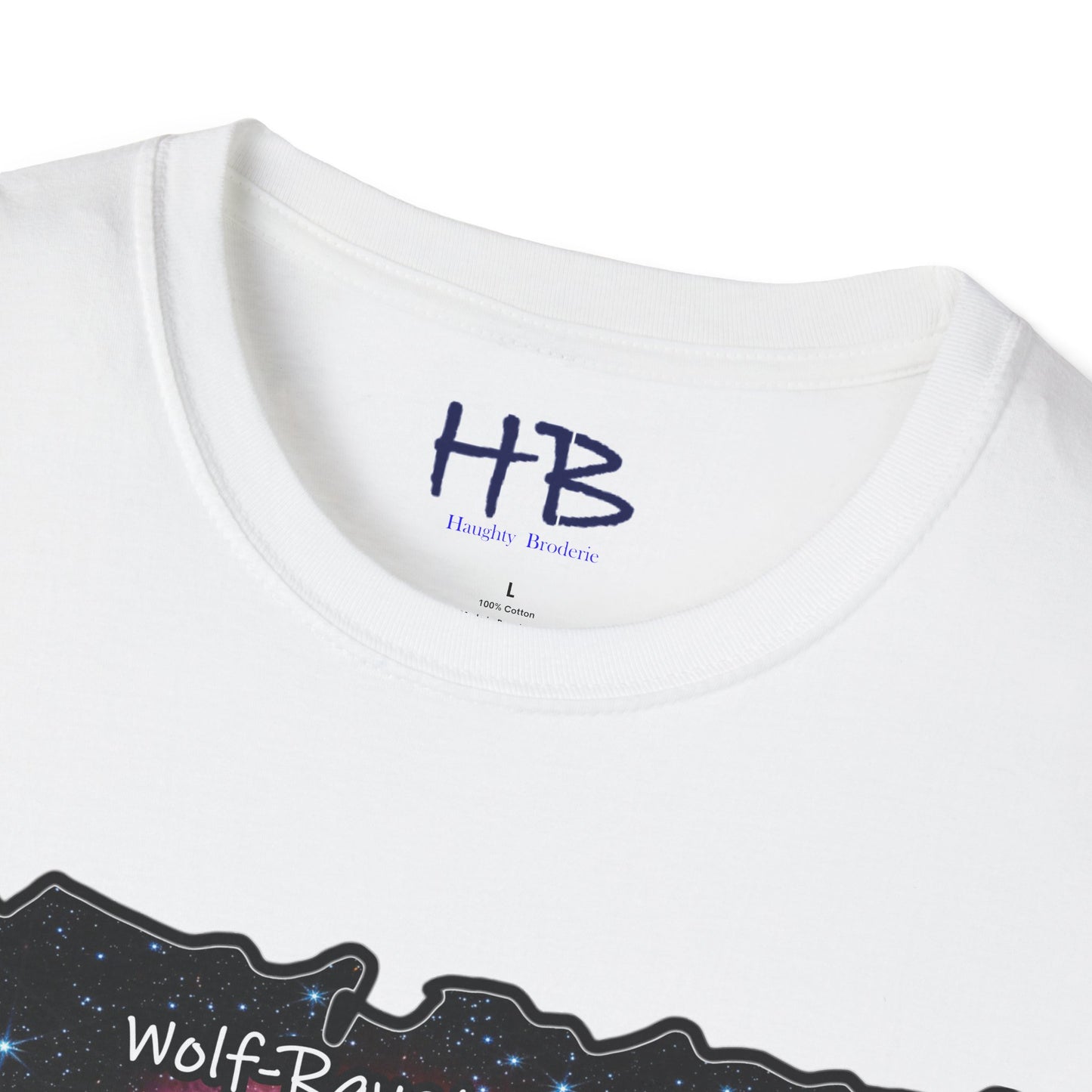 Wolf-Rayet's Stellar Majesty;  Beyond Infinity Galactic Allure