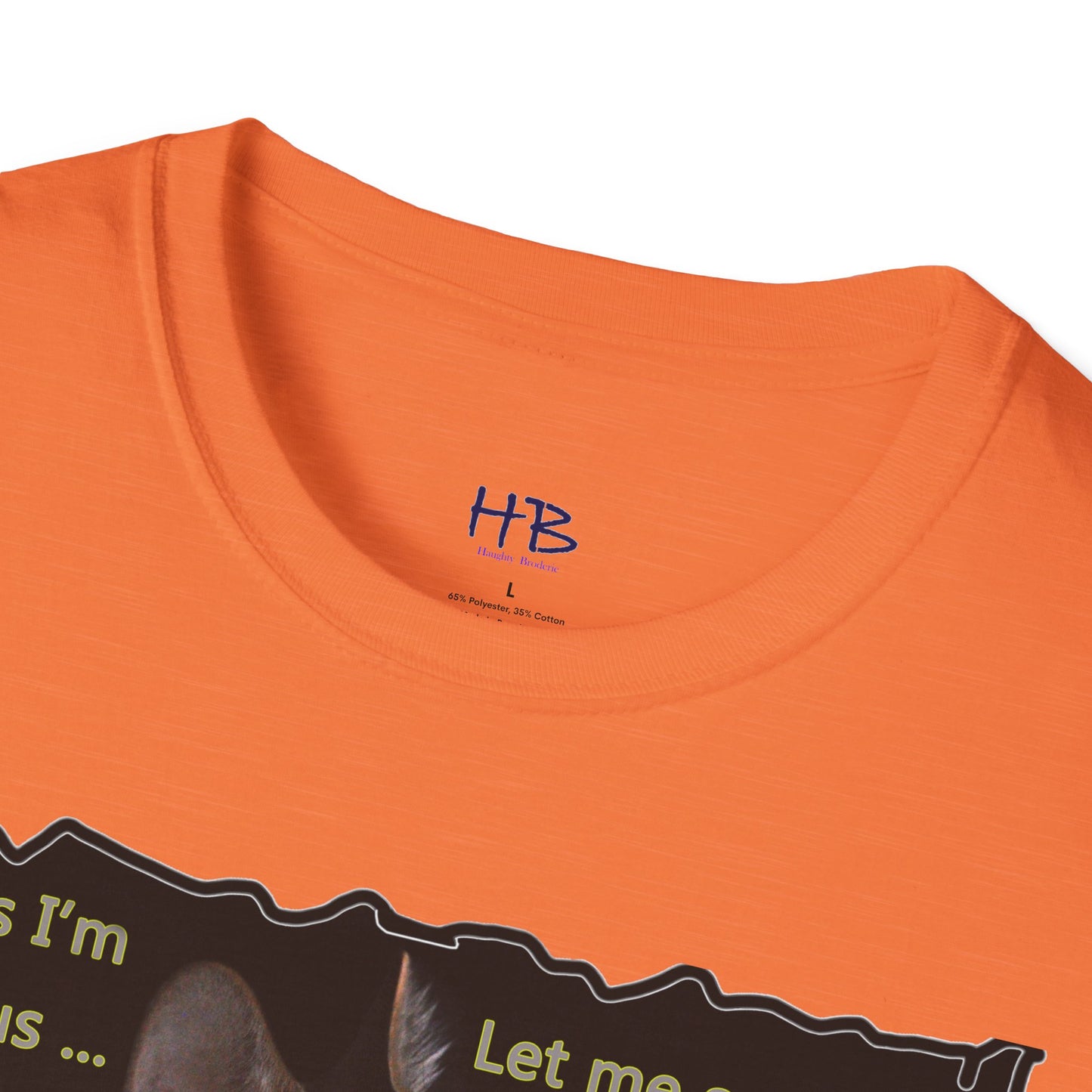 Kitten curiosity and care free