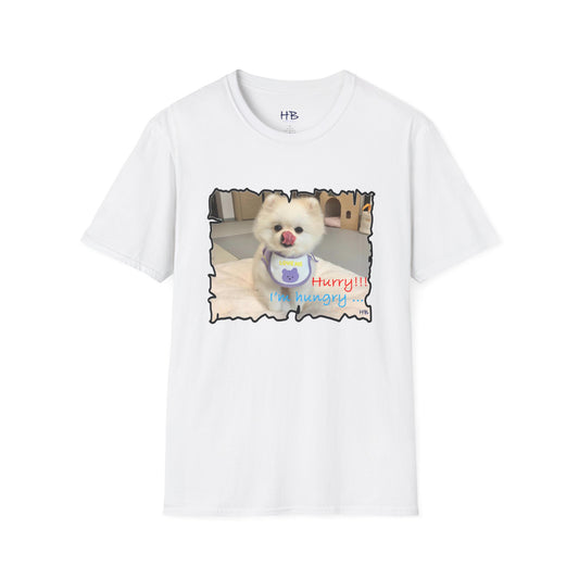 Bichon Maltese "Hurry, I'm hungry!!!"