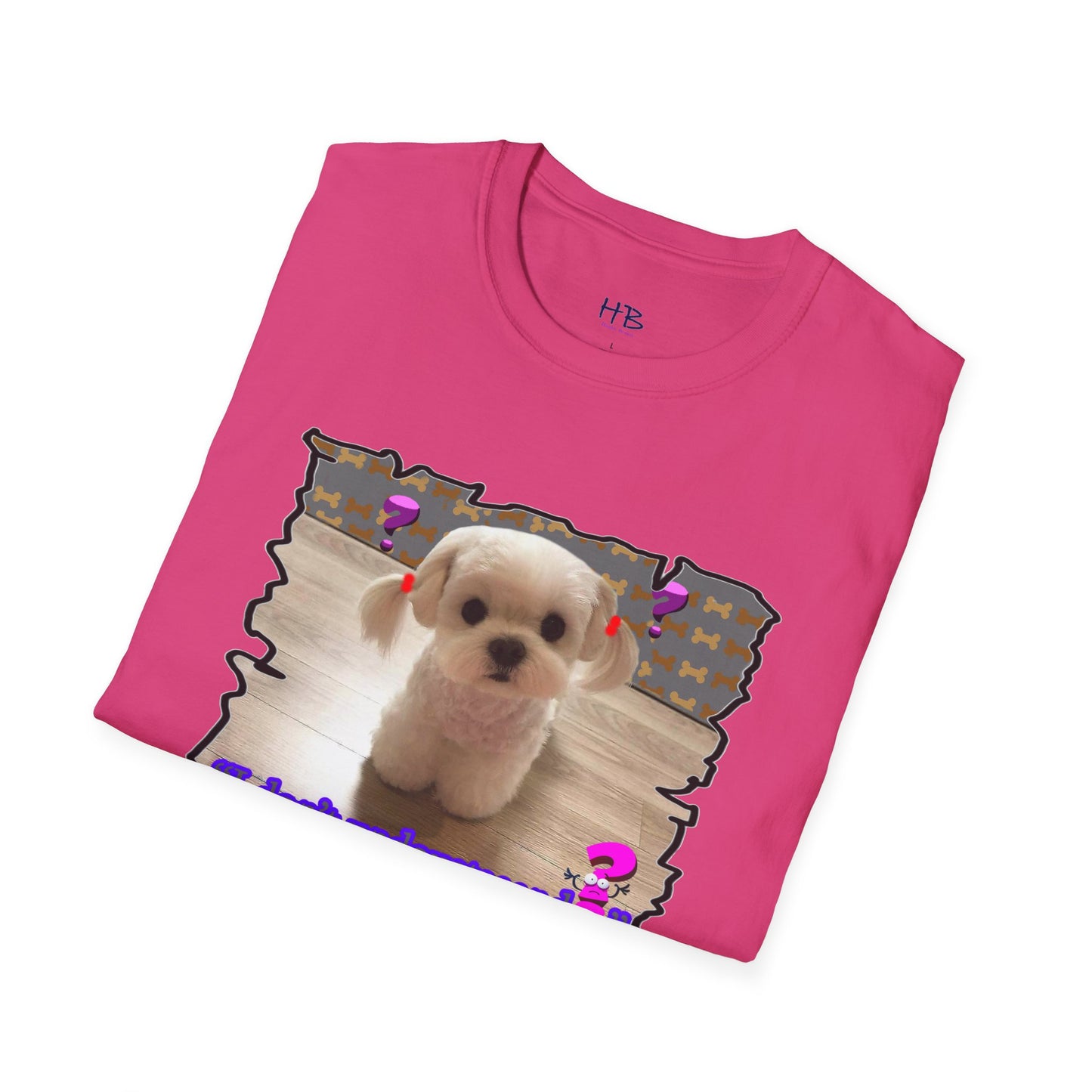 Baby Bichon Maltese with cluelessness innocent look "I don't undoustaaaand"