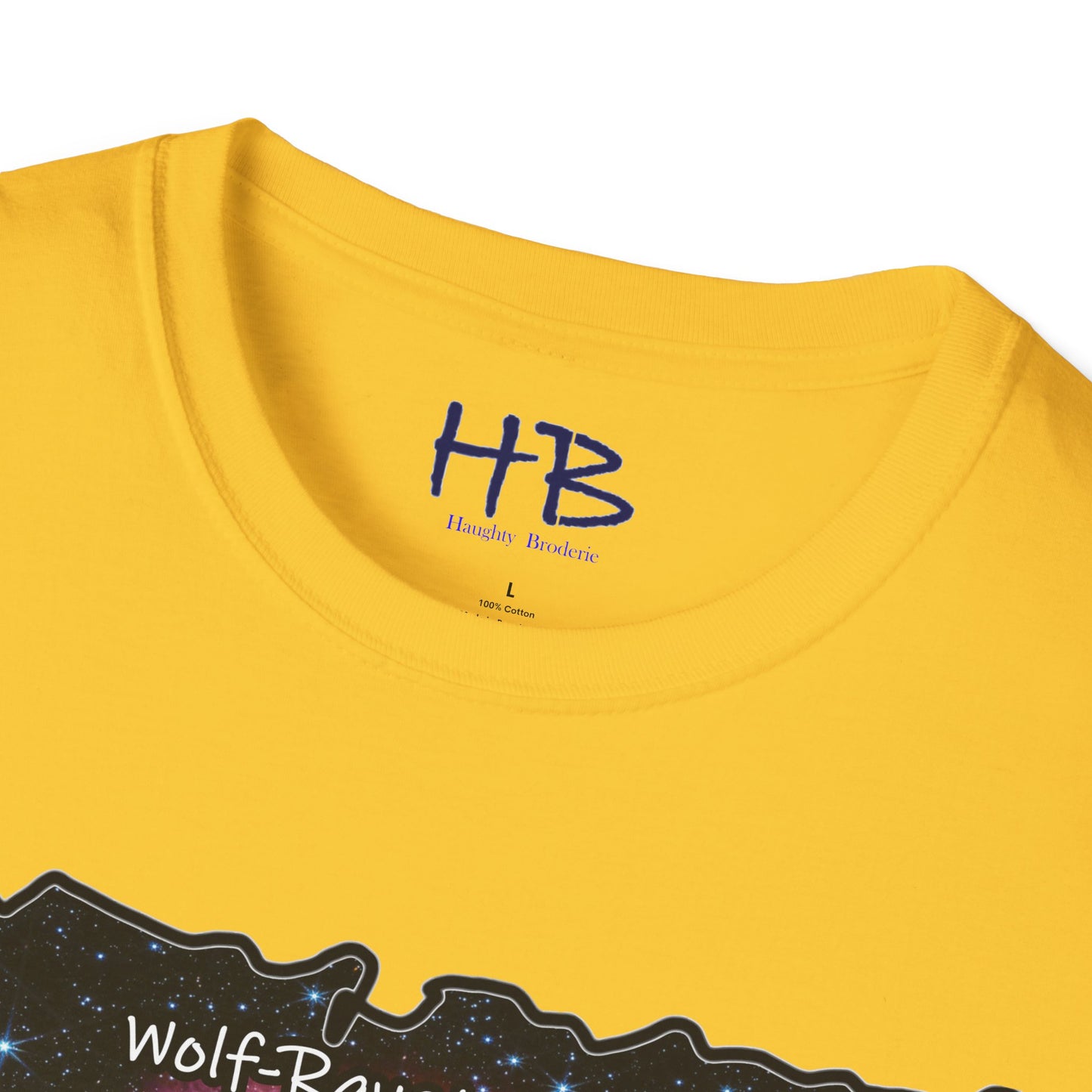 Wolf-Rayet's Stellar Majesty;  Beyond Infinity Galactic Allure