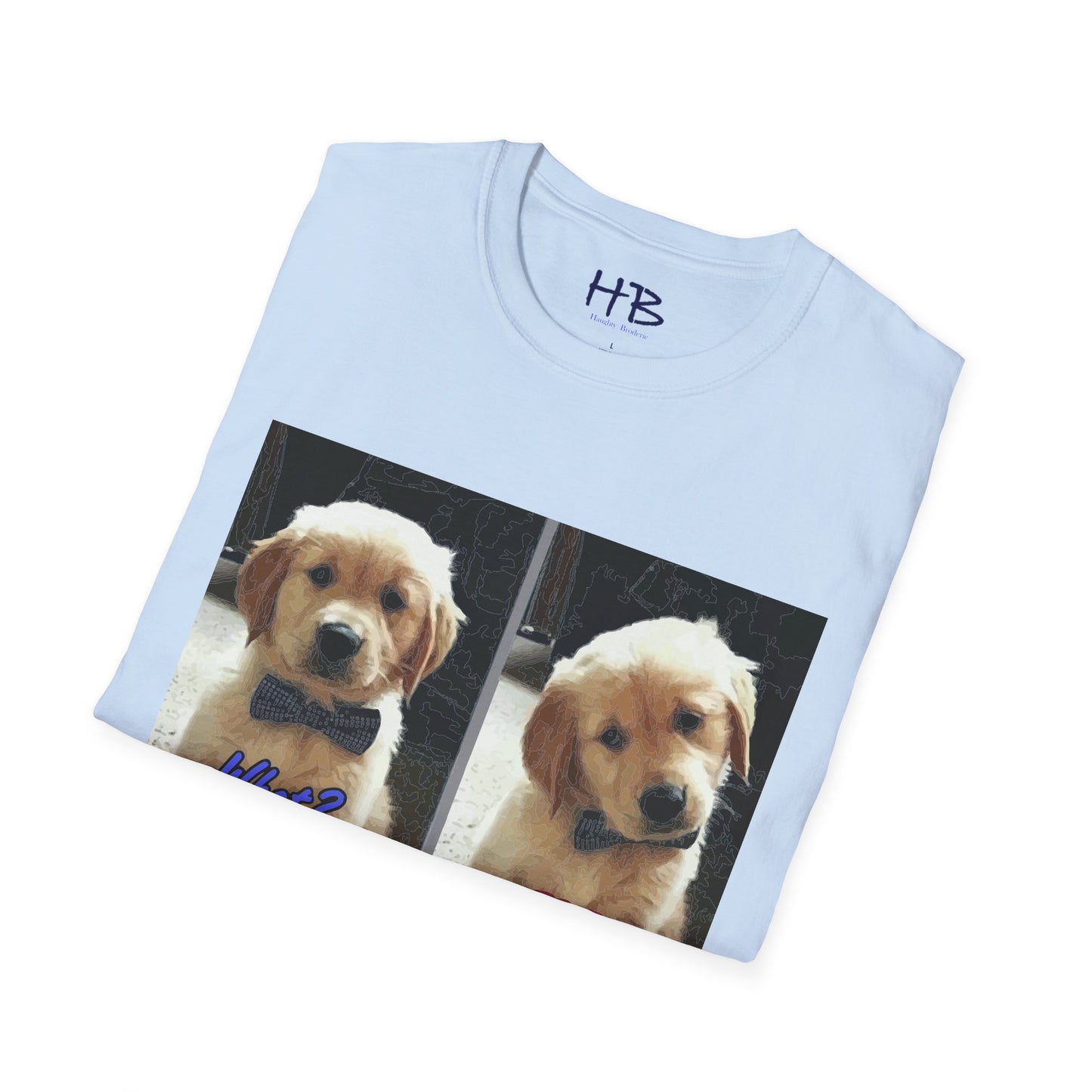 Labbie puppy asking "FOR REAL??????"