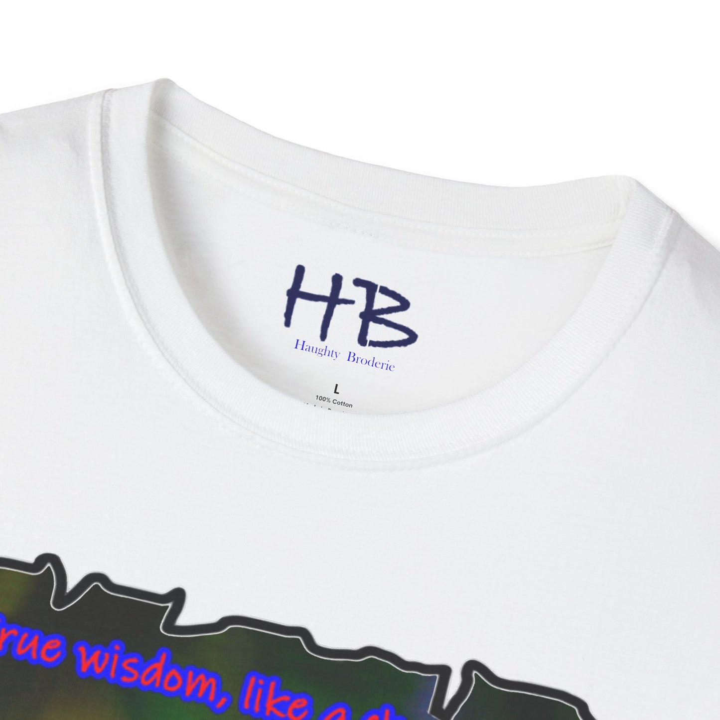 Adaptation Elegance with Colors of Resilience; Chameleon Chronicles Ever-Changing Brilliance using Wisdom's Camouflage