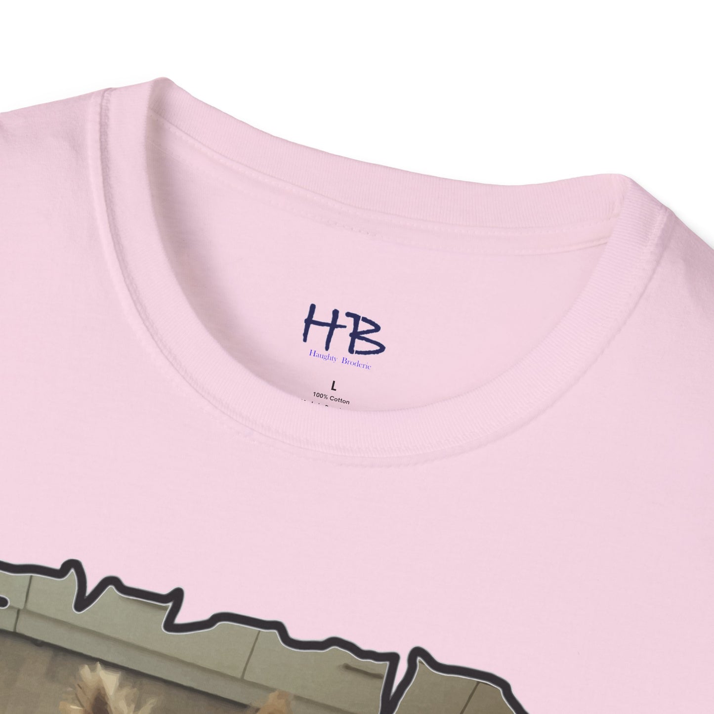 Corail the Yorkshire Toy little baby