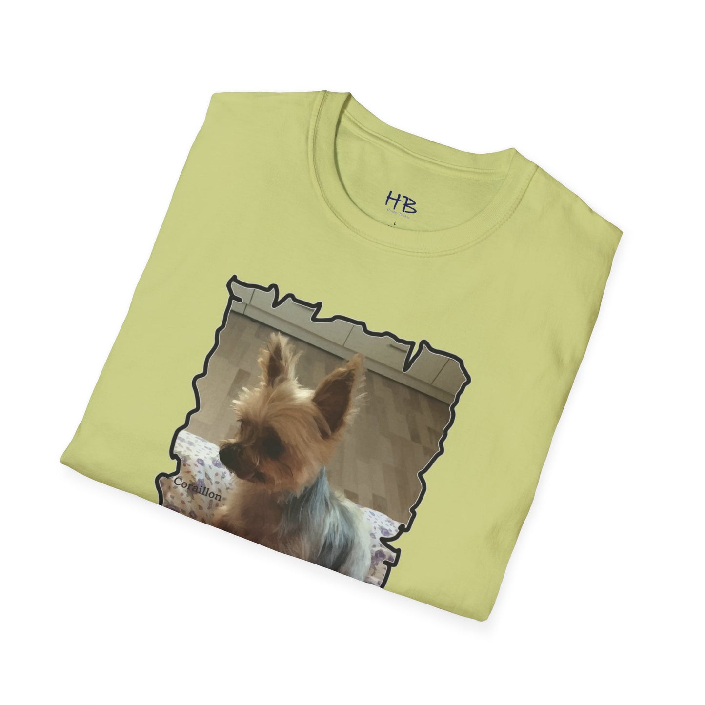 Corail the Yorkshire Toy little baby