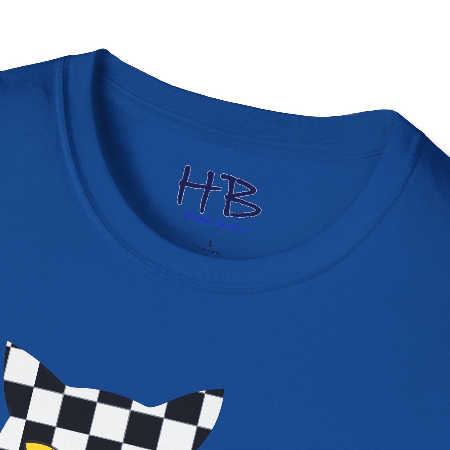 Unconventional Elegance: The Checkered Cat