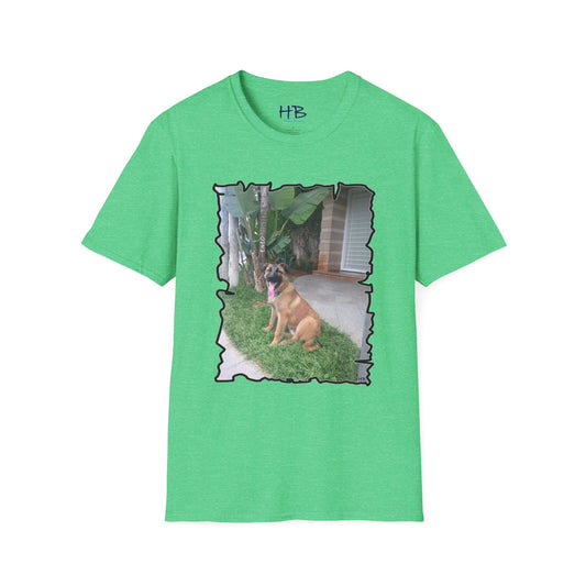 Enzo anxious to go out for his walk!!