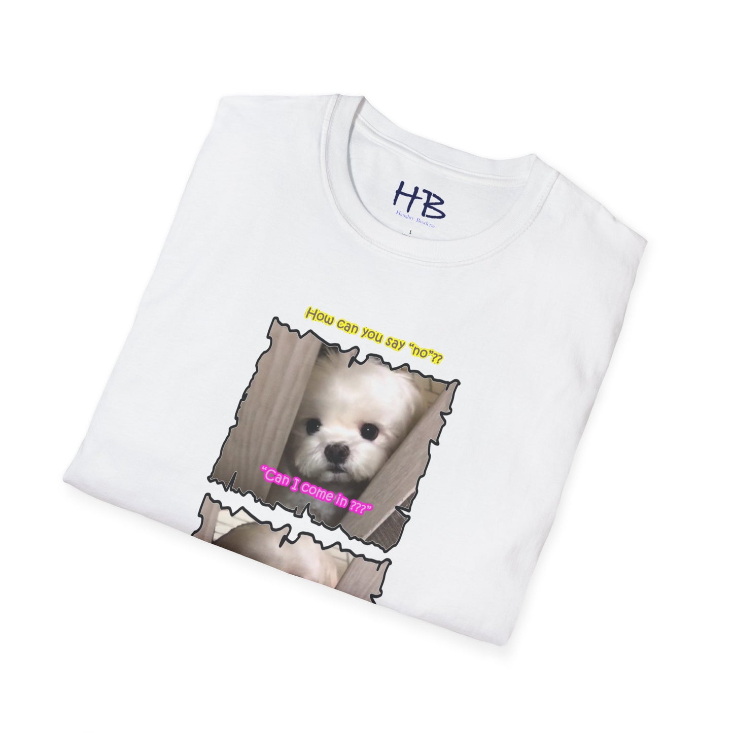 Cutest white Bichon Maltese wanting to play