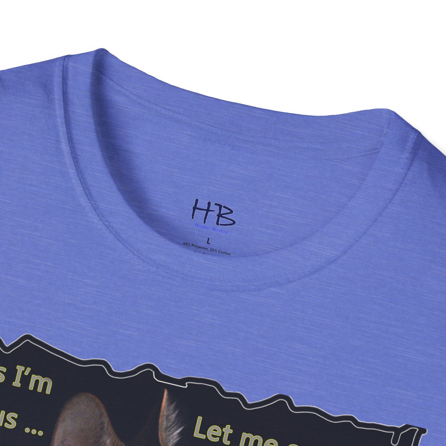 Kitten curiosity and care free