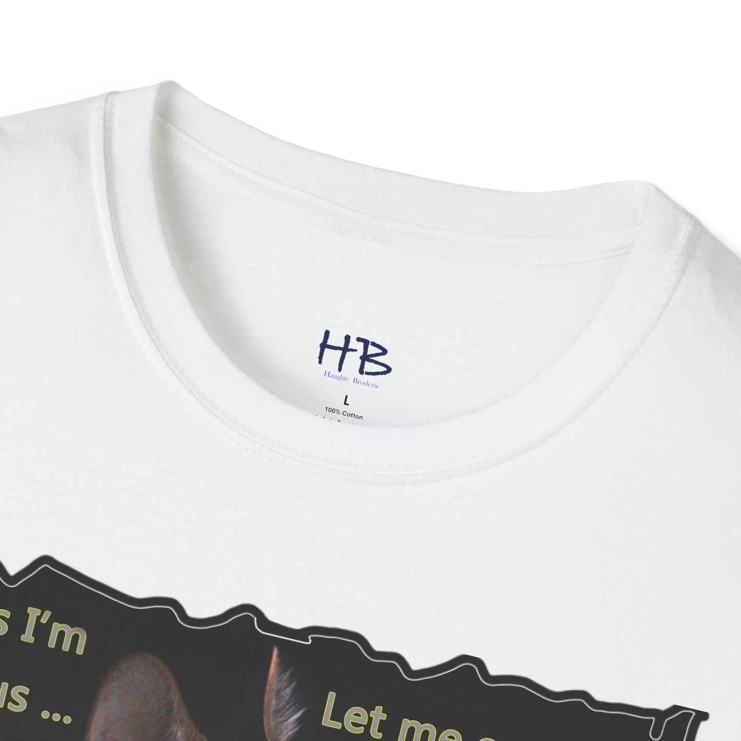 Kitten curiosity and care free