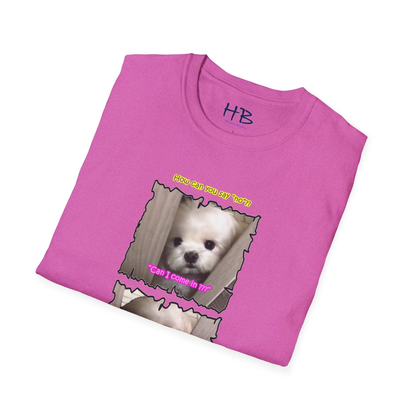 Cutest white Bichon Maltese wanting to play