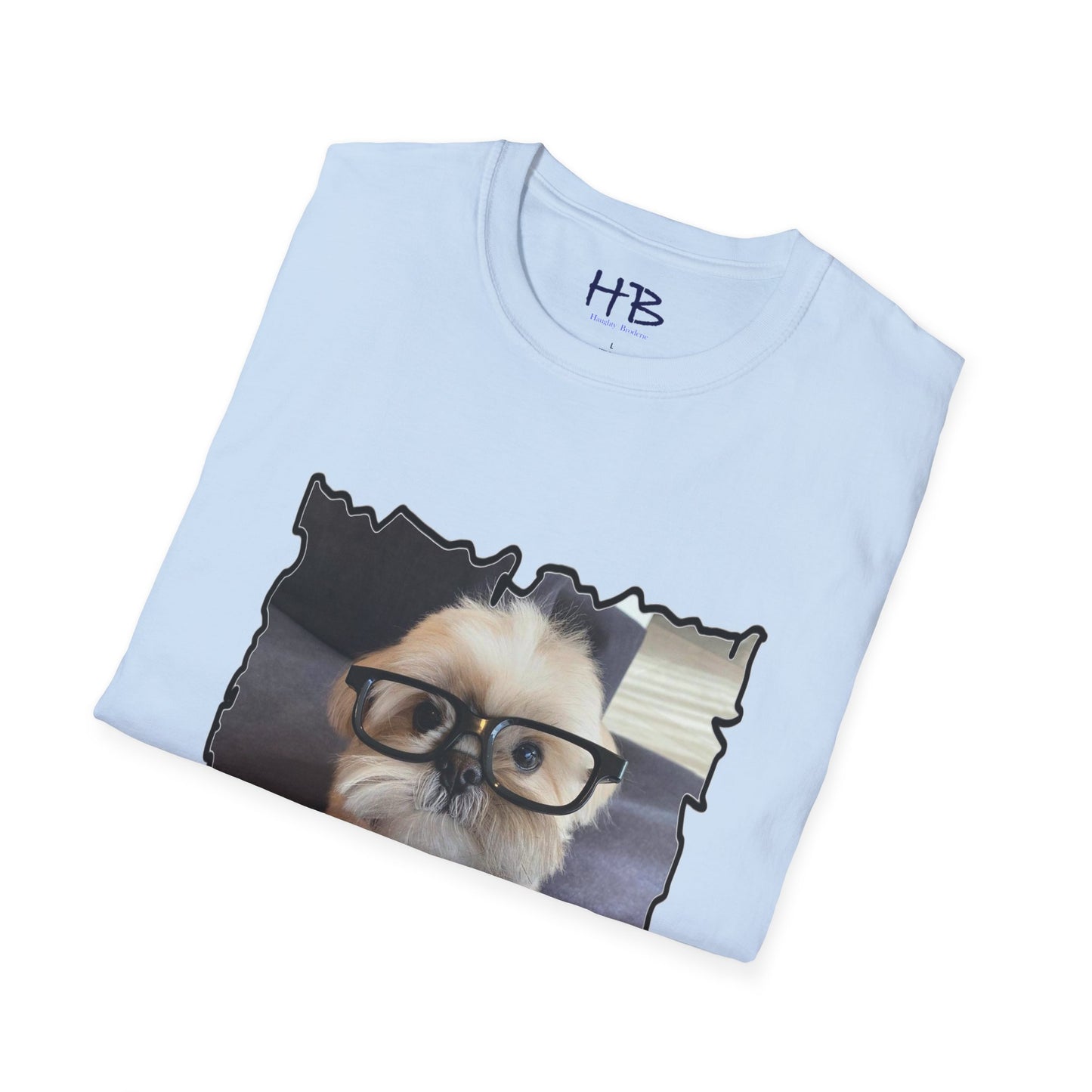 Bichon Maltese glasses according to his scrutiny