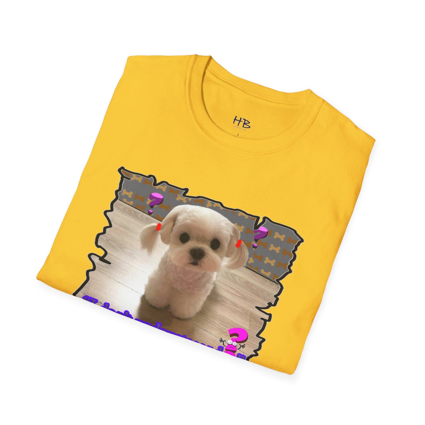 Baby Bichon Maltese with cluelessness innocent look "I don't undoustaaaand"