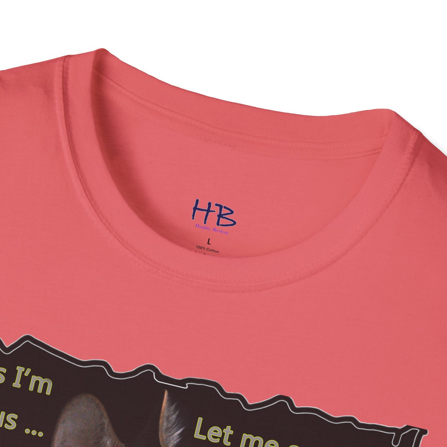 Kitten curiosity and care free