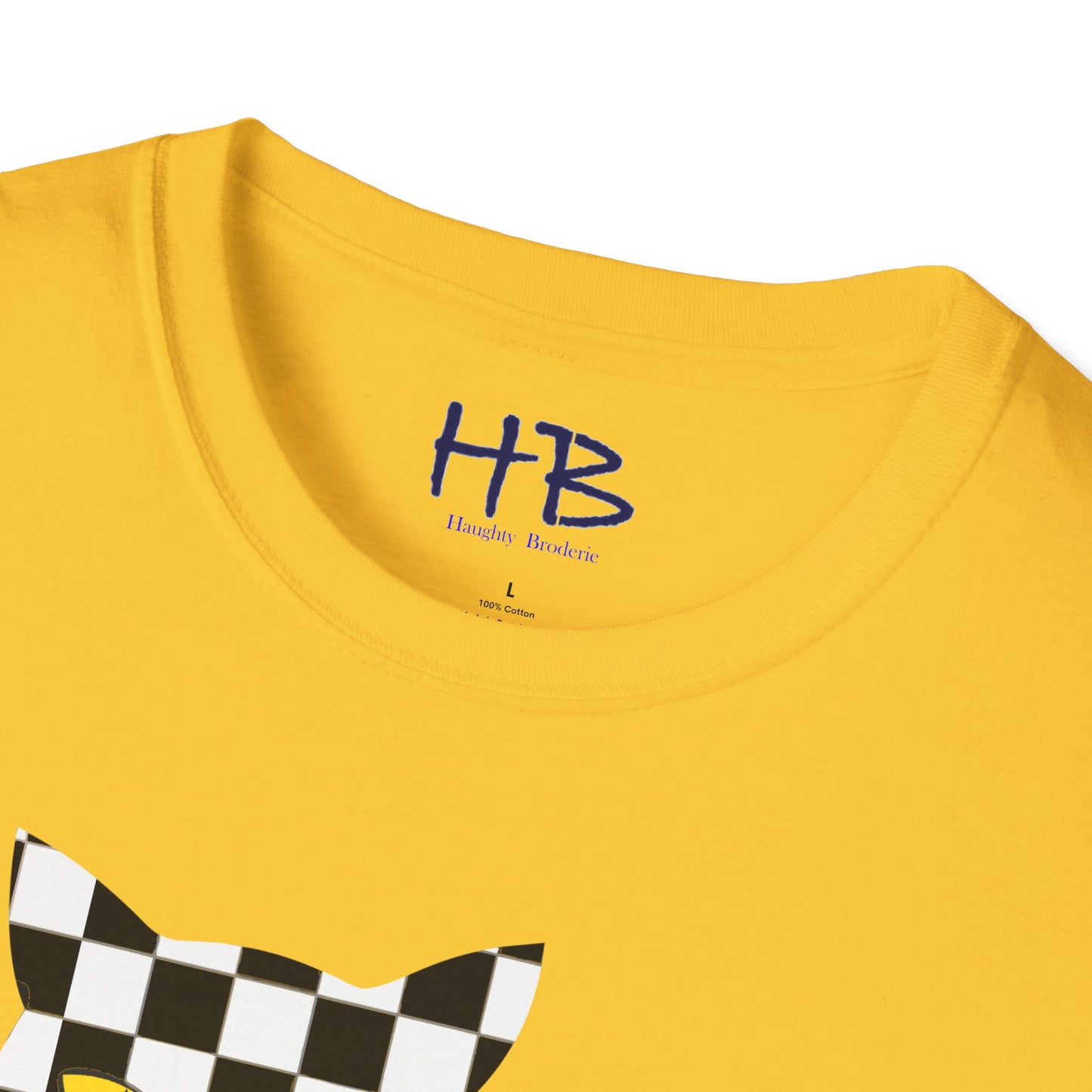 Unconventional Elegance: The Checkered Cat